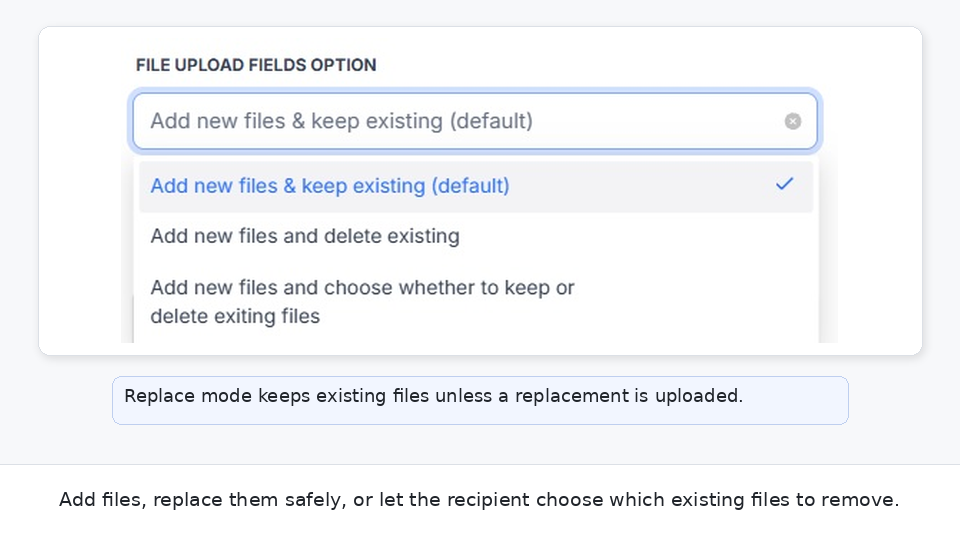 File Upload Fields Option dropdown showing Add, Replace and Optional Deletion modes